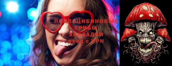 PSILOCYBIN Липки
