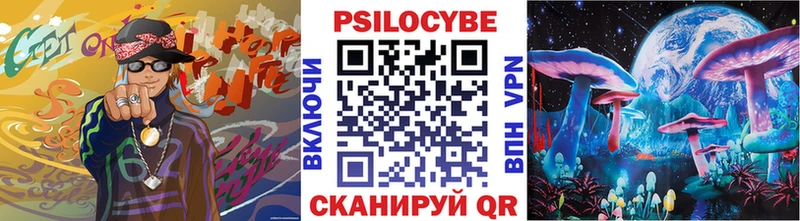 закладка  Александров  Галлюциногенные грибы Psilocybe 